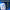 Ronnie Coleman Signature Series Pro Antium - 5 Lbs