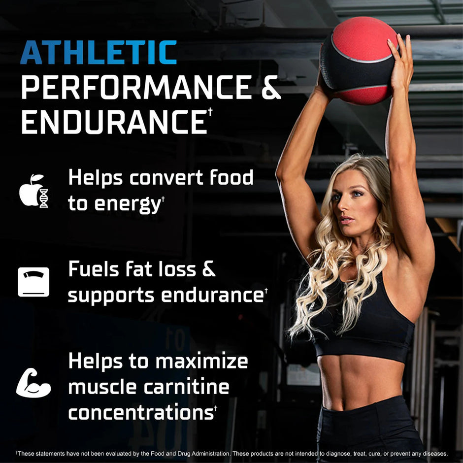 GAT Sport L Carnitine 473ml