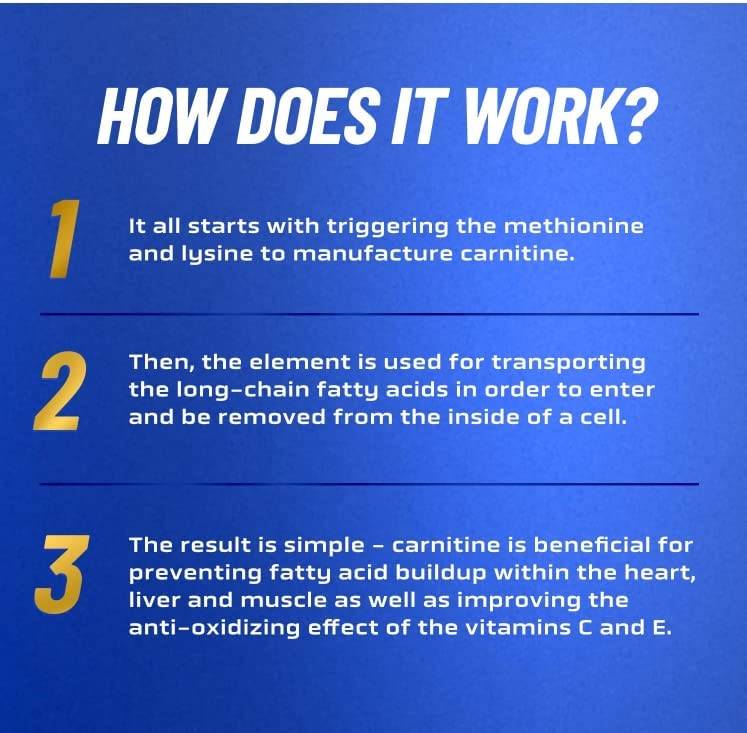 Ronnie Coleman Signature Series L-Carnitine XS 3000 Liquid , 473ml (16oz)