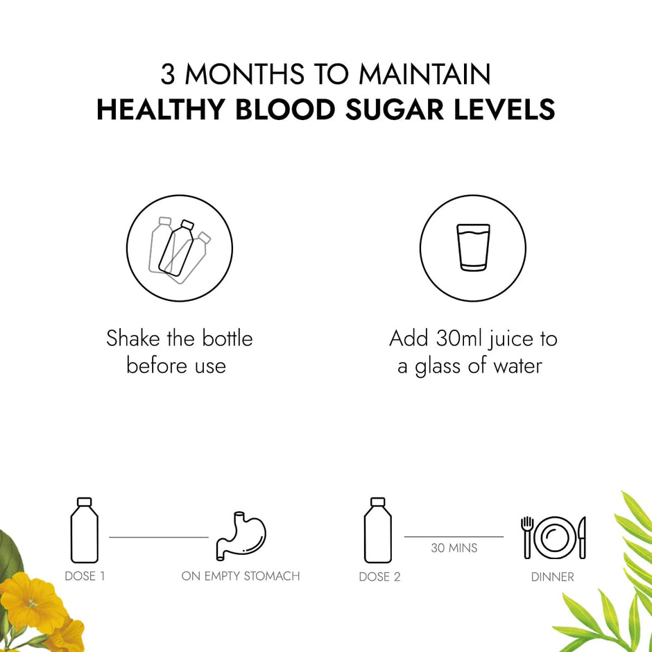 Kapiva Dia Free Juice, (pack of 2L) 1L each