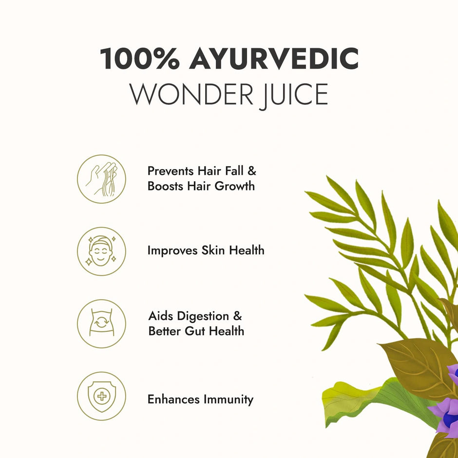 Kapiva Wild Amla Juice 1L | Pack of 4