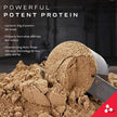 Muscletech Nitrotech Whey Protien Powder Ultimate Muscle Building Formula for Muscle Support & Recovery (30g Protein, 3g Creatine Monohydrate & 6.8g BCCA's) Vegetarian -907g