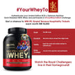 Optimum NCrition (ON) Gold Standard 100% Whey Protein Powder 5 lbs, 2.27 kgs (Double Rich Chocolate), for Muscle Support & Recovery, Vegetarian - Primary Source Whey Isolate
