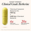 Wellbeing Nutrition Slow 6x Liposomal Berberine HCL+ | 60 Capsules